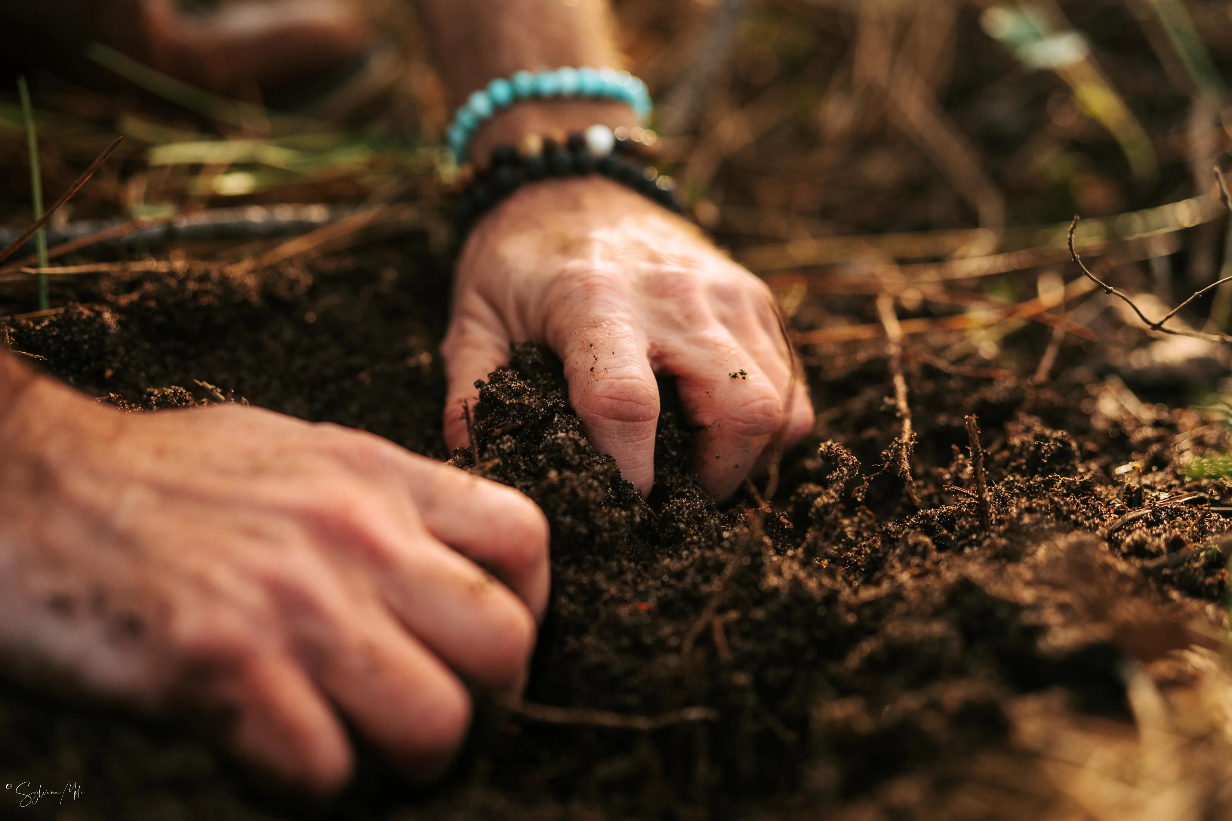 Marche méditative dans une prairie