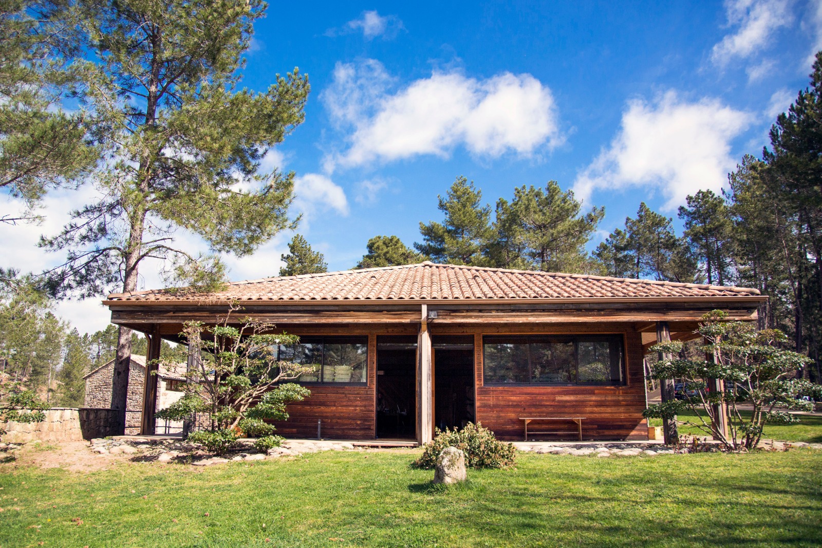 Bâtiment en bois du Domaine du Taillé au milieu des pins