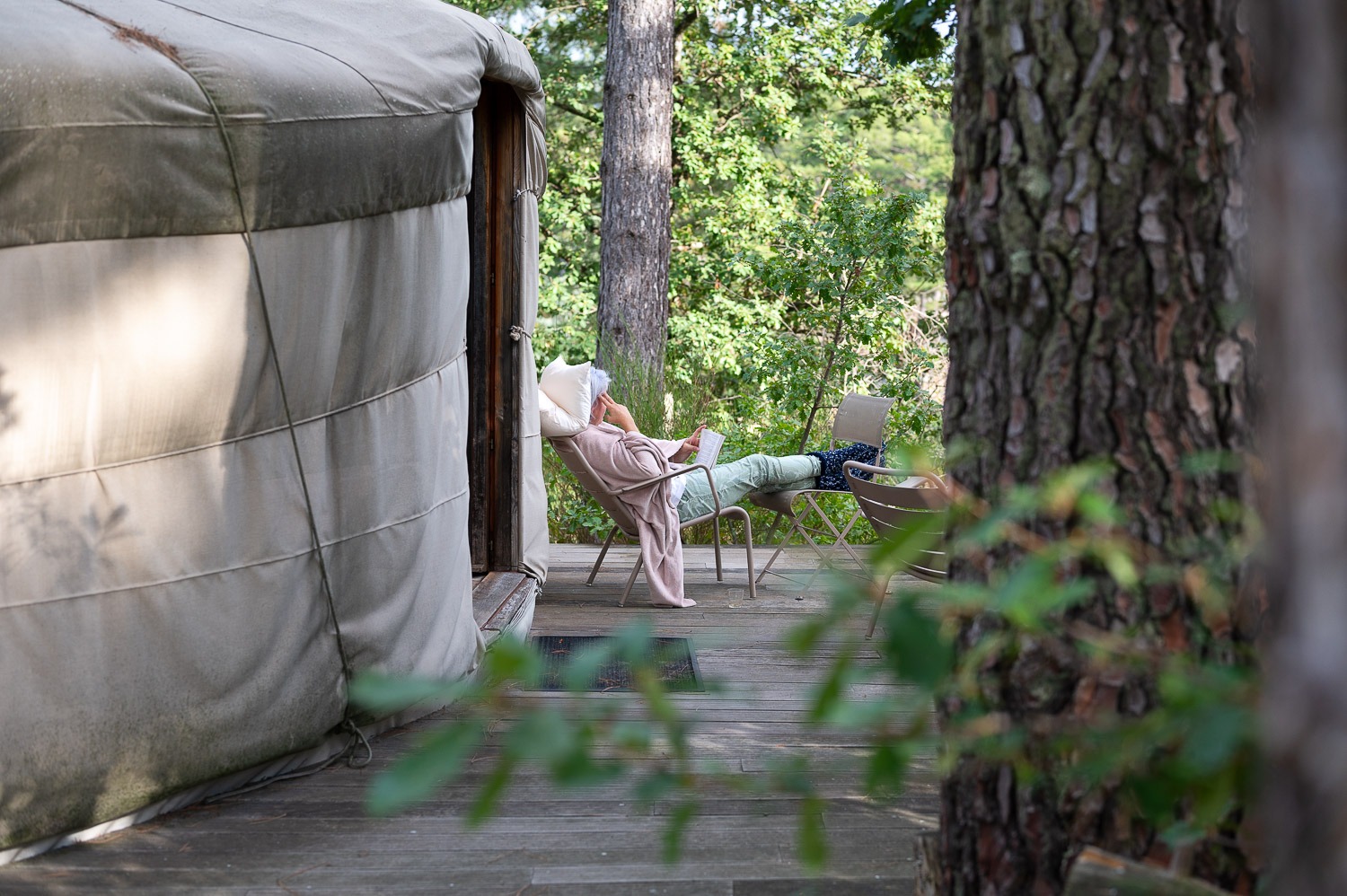 Espace de repos au cœur des arbres du Domaine du Taillé
